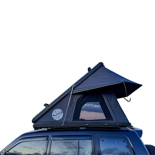 The Nest V1